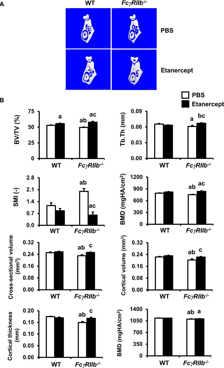 https://cdn.ncbi.nlm.nih.gov/pmc/blobs/7560/8051757/c3149910b9ce/pone.0250215.g002.jpg
