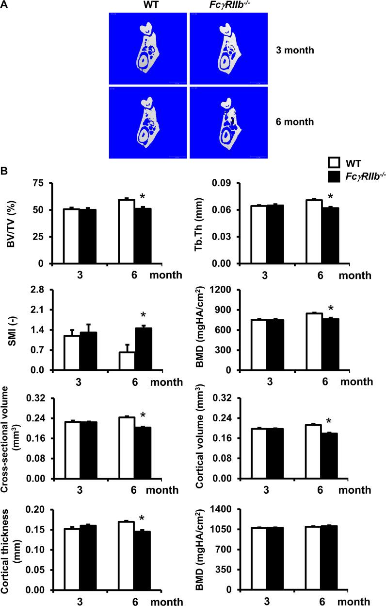 https://cdn.ncbi.nlm.nih.gov/pmc/blobs/7560/8051757/d4f14584cfa9/pone.0250215.g001.jpg
