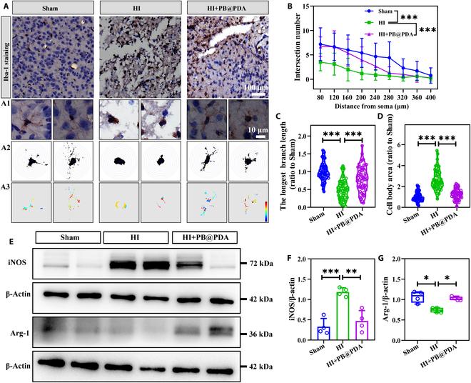 https://cdn.ncbi.nlm.nih.gov/pmc/blobs/7561/11409202/061c06d730bd/bmr.0079.fig.007.jpg