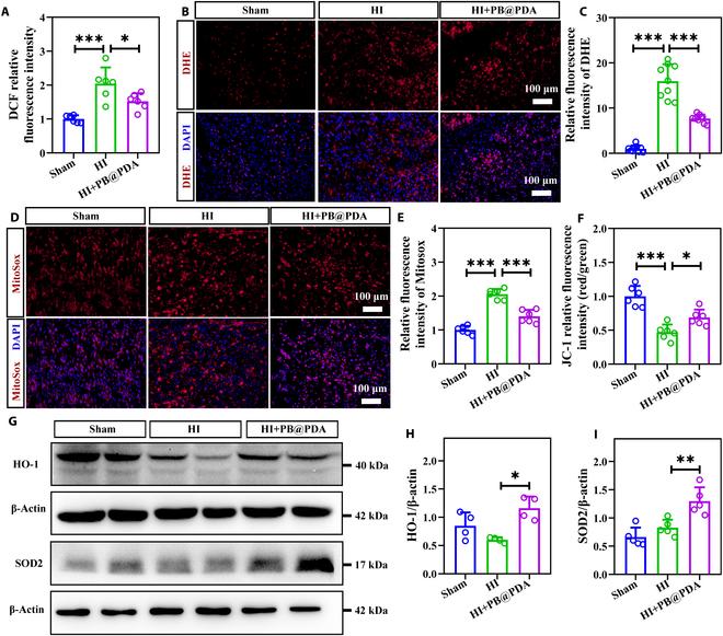 https://cdn.ncbi.nlm.nih.gov/pmc/blobs/7561/11409202/27f03a0ca28e/bmr.0079.fig.005.jpg
