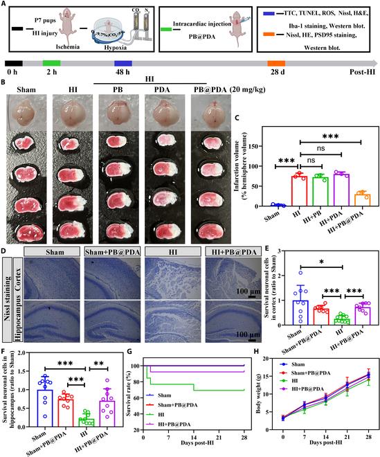 https://cdn.ncbi.nlm.nih.gov/pmc/blobs/7561/11409202/337b26dacf0c/bmr.0079.fig.003.jpg