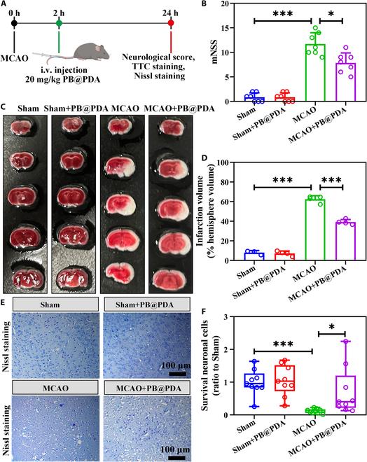 https://cdn.ncbi.nlm.nih.gov/pmc/blobs/7561/11409202/ffeacea5701e/bmr.0079.fig.010.jpg