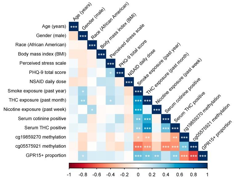 https://cdn.ncbi.nlm.nih.gov/pmc/blobs/7561/7074551/b0bb2cbb0d9b/genes-11-00149-g001.jpg