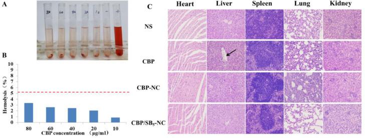 https://cdn.ncbi.nlm.nih.gov/pmc/blobs/7561/8105516/00ebcdfd33ec/gr6.jpg