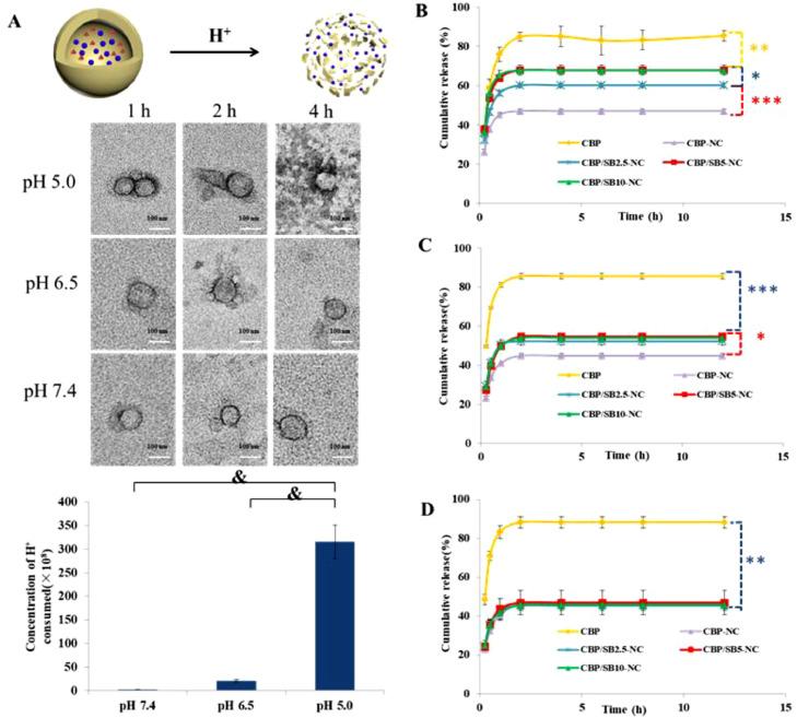 https://cdn.ncbi.nlm.nih.gov/pmc/blobs/7561/8105516/2fc6d078c6f9/gr2.jpg