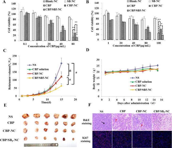 https://cdn.ncbi.nlm.nih.gov/pmc/blobs/7561/8105516/693c874aa66b/gr5.jpg