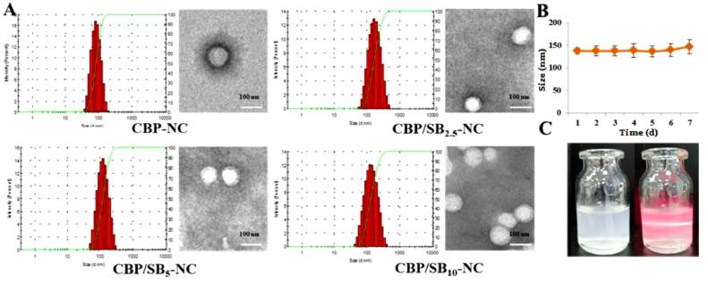 https://cdn.ncbi.nlm.nih.gov/pmc/blobs/7561/8105516/ae86bc9c1782/gr1.jpg