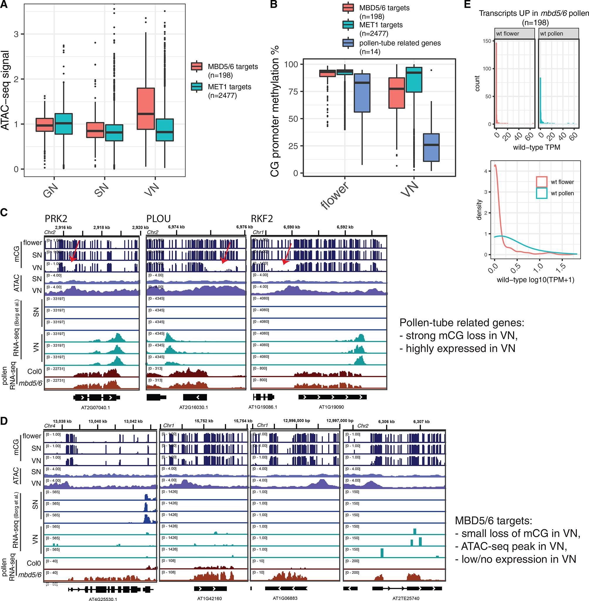 https://cdn.ncbi.nlm.nih.gov/pmc/blobs/7561/9770095/11a34b4b30cf/nihms-1852532-f0007.jpg