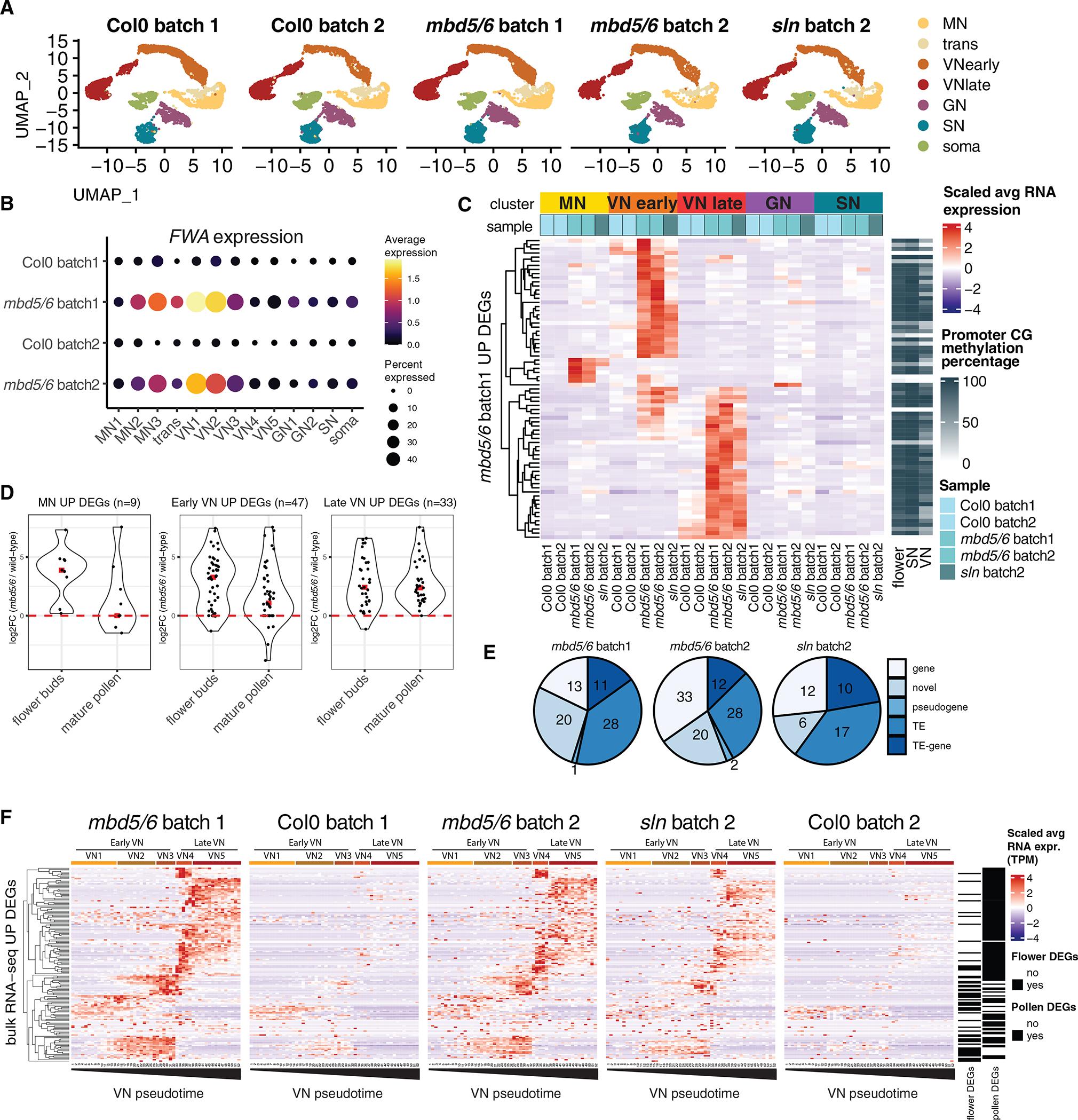 https://cdn.ncbi.nlm.nih.gov/pmc/blobs/7561/9770095/16021ddc80c9/nihms-1852532-f0005.jpg