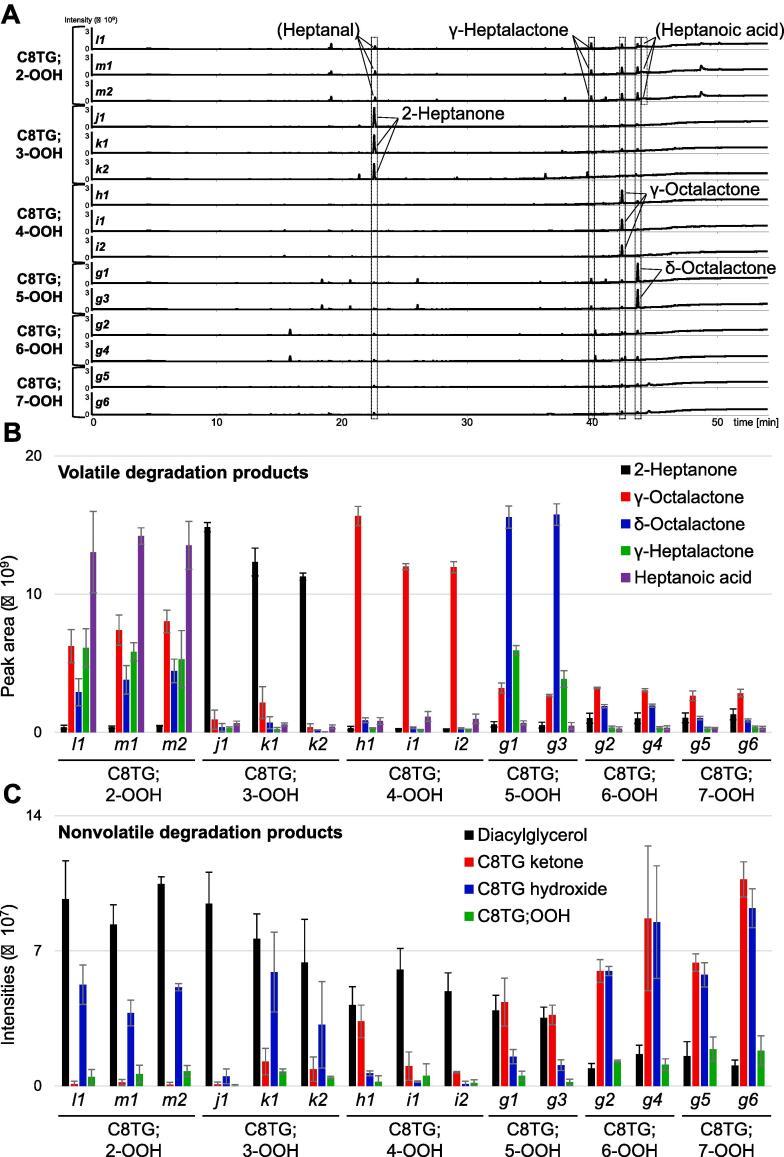 https://cdn.ncbi.nlm.nih.gov/pmc/blobs/7565/10784145/ac8a00f0328c/gr5.jpg