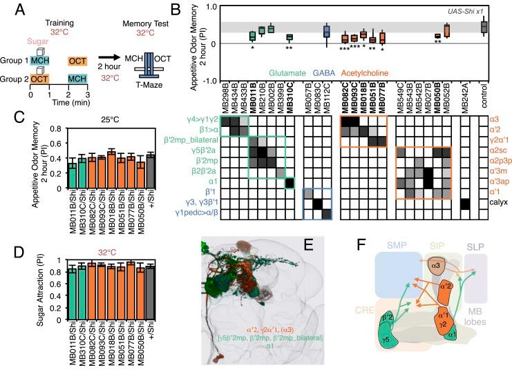 https://cdn.ncbi.nlm.nih.gov/pmc/blobs/7565/4273436/9fc3ba4d7925/elife04580f007.jpg