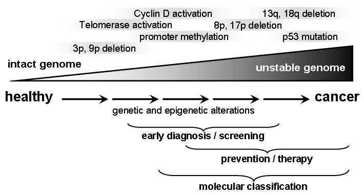 https://cdn.ncbi.nlm.nih.gov/pmc/blobs/7566/3544207/b39298009f4d/CTO-11-09-g-001.jpg