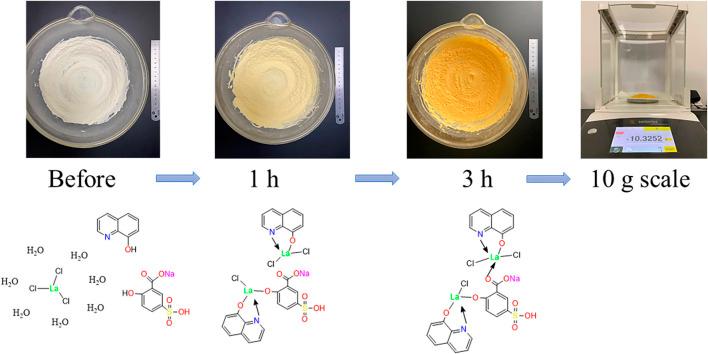 https://cdn.ncbi.nlm.nih.gov/pmc/blobs/7568/9237552/4bd855d709cb/fchem-10-898324-g001.jpg