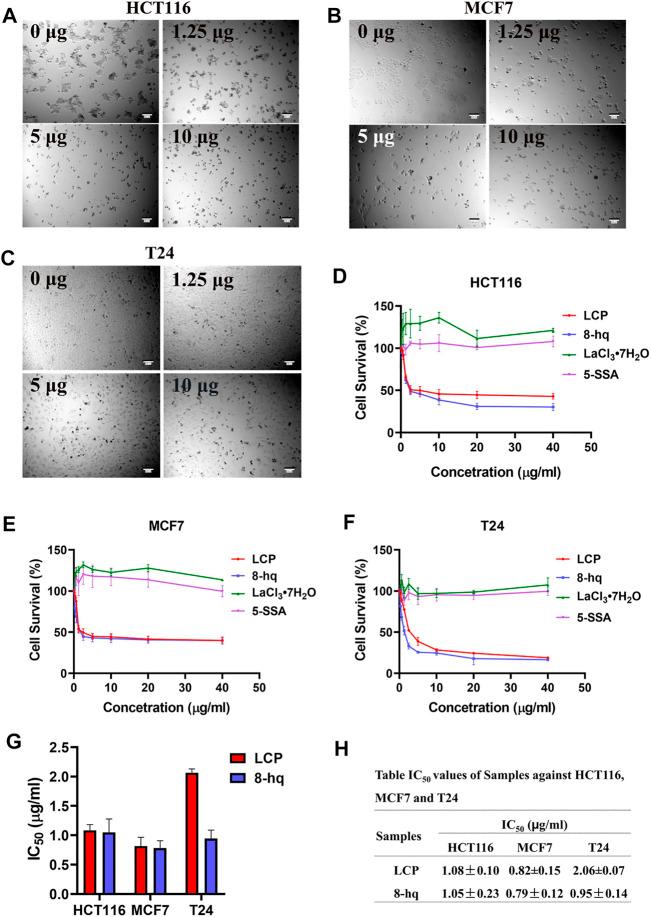 https://cdn.ncbi.nlm.nih.gov/pmc/blobs/7568/9237552/91f8d8fbd837/fchem-10-898324-g007.jpg