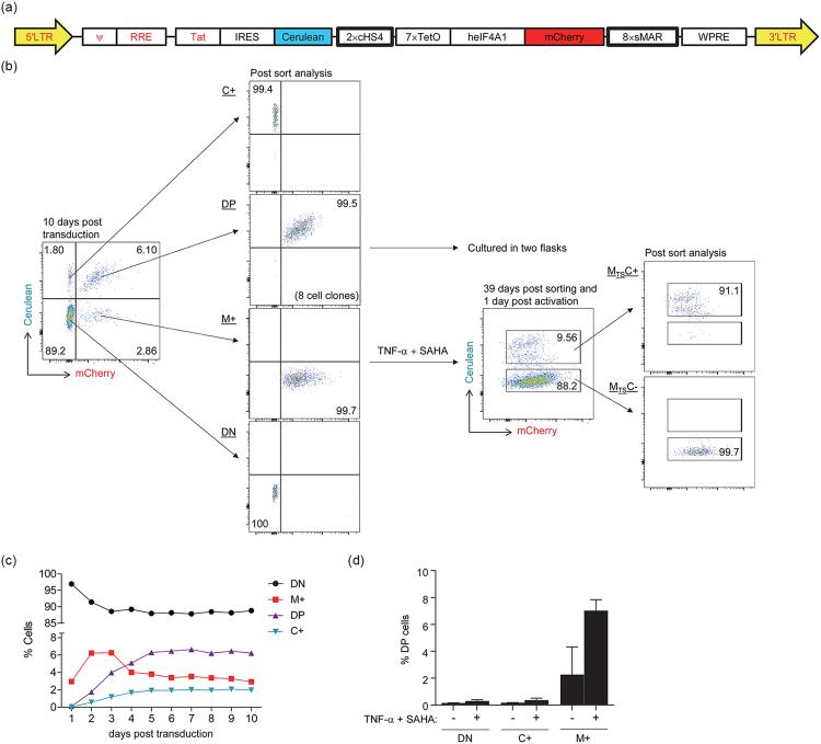 https://cdn.ncbi.nlm.nih.gov/pmc/blobs/756a/6033903/e0c1a07a4fc9/41598_2018_28161_Fig1_HTML.jpg