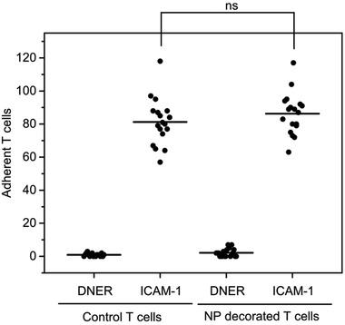 https://cdn.ncbi.nlm.nih.gov/pmc/blobs/756b/11469241/5b1075c455eb/ADHM-10-2001375-g004.jpg