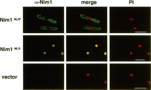 https://cdn.ncbi.nlm.nih.gov/pmc/blobs/756d/276023/3e84ced75ef6/mbc00018-0102-b.jpg