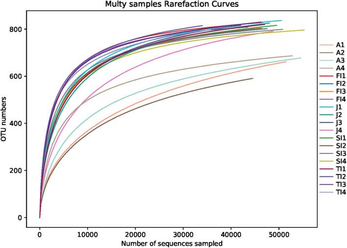https://cdn.ncbi.nlm.nih.gov/pmc/blobs/756d/8473915/2e61f088f664/fmicb-12-696281-g001.jpg