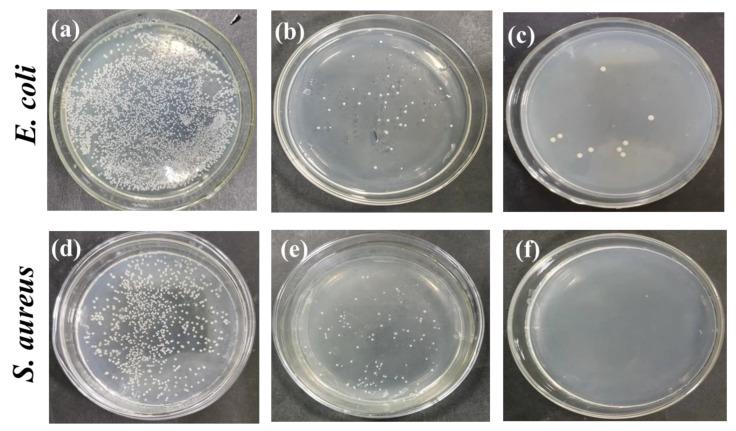 https://cdn.ncbi.nlm.nih.gov/pmc/blobs/7570/10343514/4334e41a6c62/nanomaterials-13-02000-g008.jpg