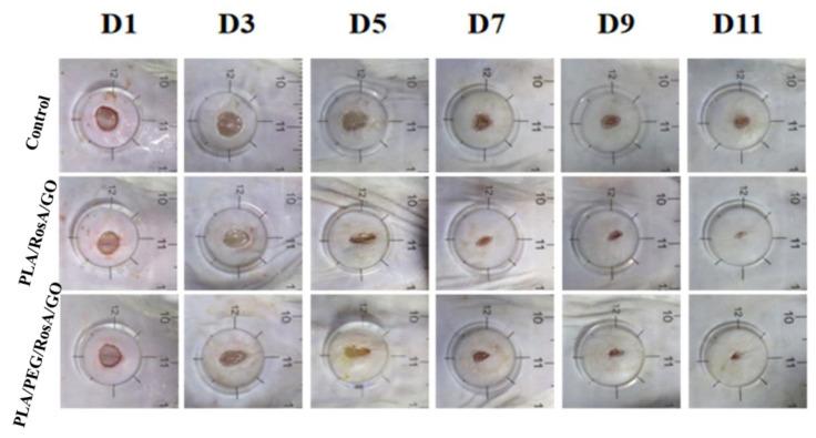 https://cdn.ncbi.nlm.nih.gov/pmc/blobs/7570/10343514/915ef5e9961a/nanomaterials-13-02000-g009.jpg