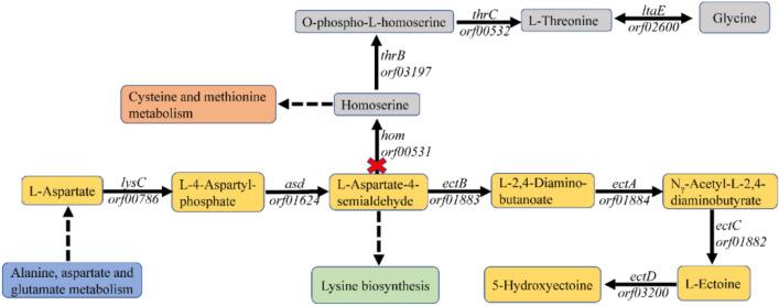 https://cdn.ncbi.nlm.nih.gov/pmc/blobs/7571/10272175/782546c807b7/41598_2023_36975_Fig1_HTML.jpg