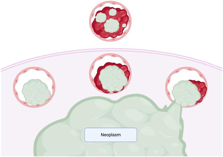 https://cdn.ncbi.nlm.nih.gov/pmc/blobs/7573/10607141/273238e8d930/ijms-24-15264-g001.jpg