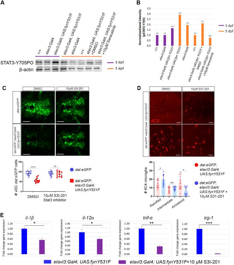 https://cdn.ncbi.nlm.nih.gov/pmc/blobs/7573/11646115/a2f99c7f4a32/dmm-17-052011-g6.jpg