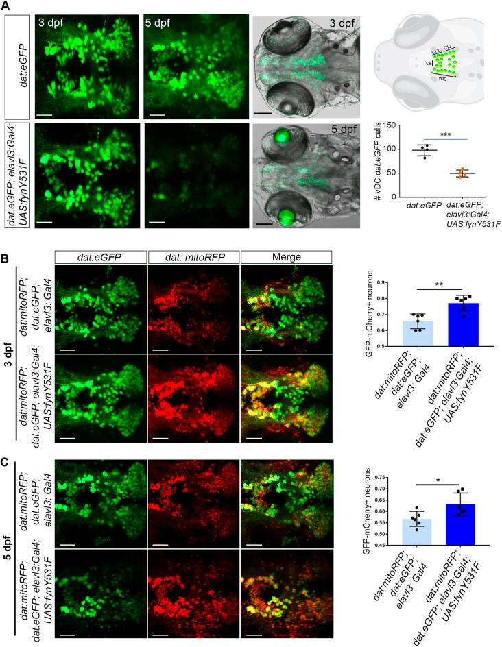https://cdn.ncbi.nlm.nih.gov/pmc/blobs/7573/11646115/a5ec2299b806/dmm-17-052011-g2.jpg