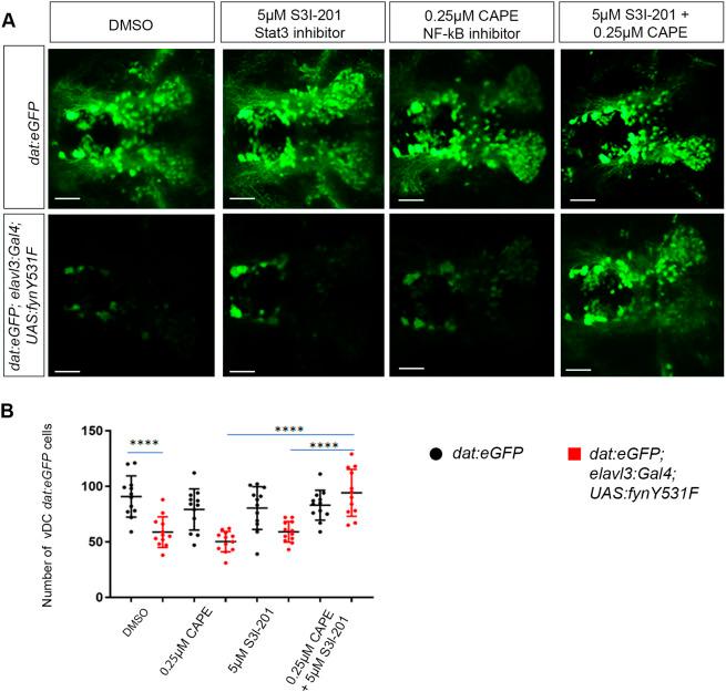https://cdn.ncbi.nlm.nih.gov/pmc/blobs/7573/11646115/fe15356f1fb2/dmm-17-052011-g8.jpg