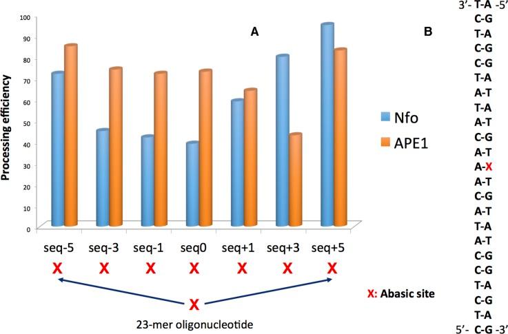 https://cdn.ncbi.nlm.nih.gov/pmc/blobs/7573/5063003/10118ff15074/gkw773fig1.jpg