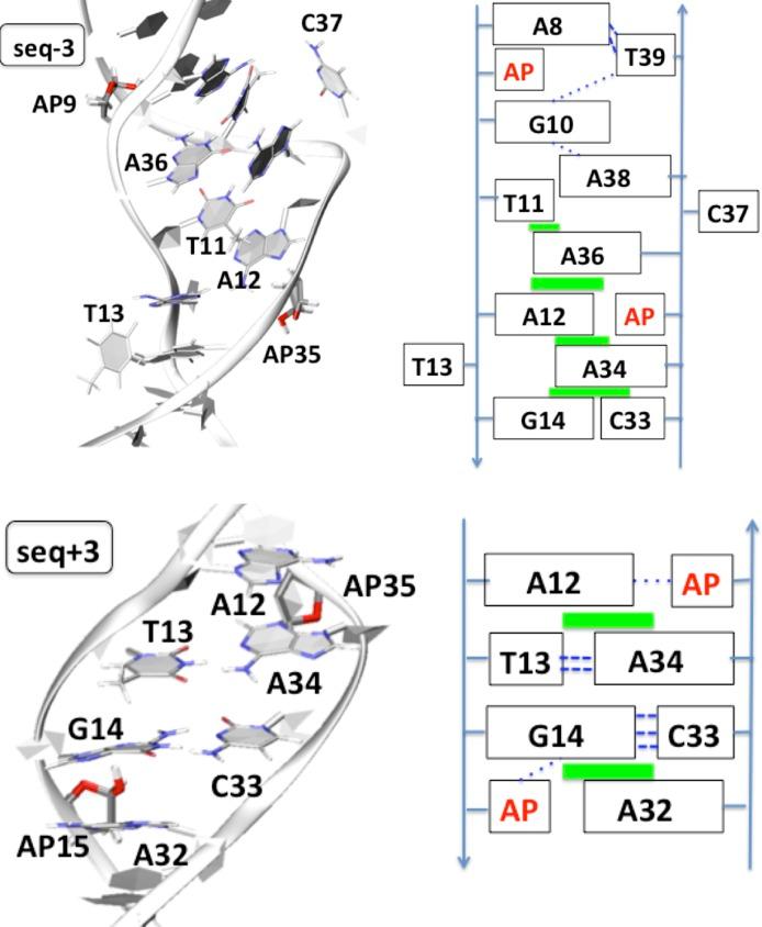 https://cdn.ncbi.nlm.nih.gov/pmc/blobs/7573/5063003/357dc4690c94/gkw773fig5.jpg