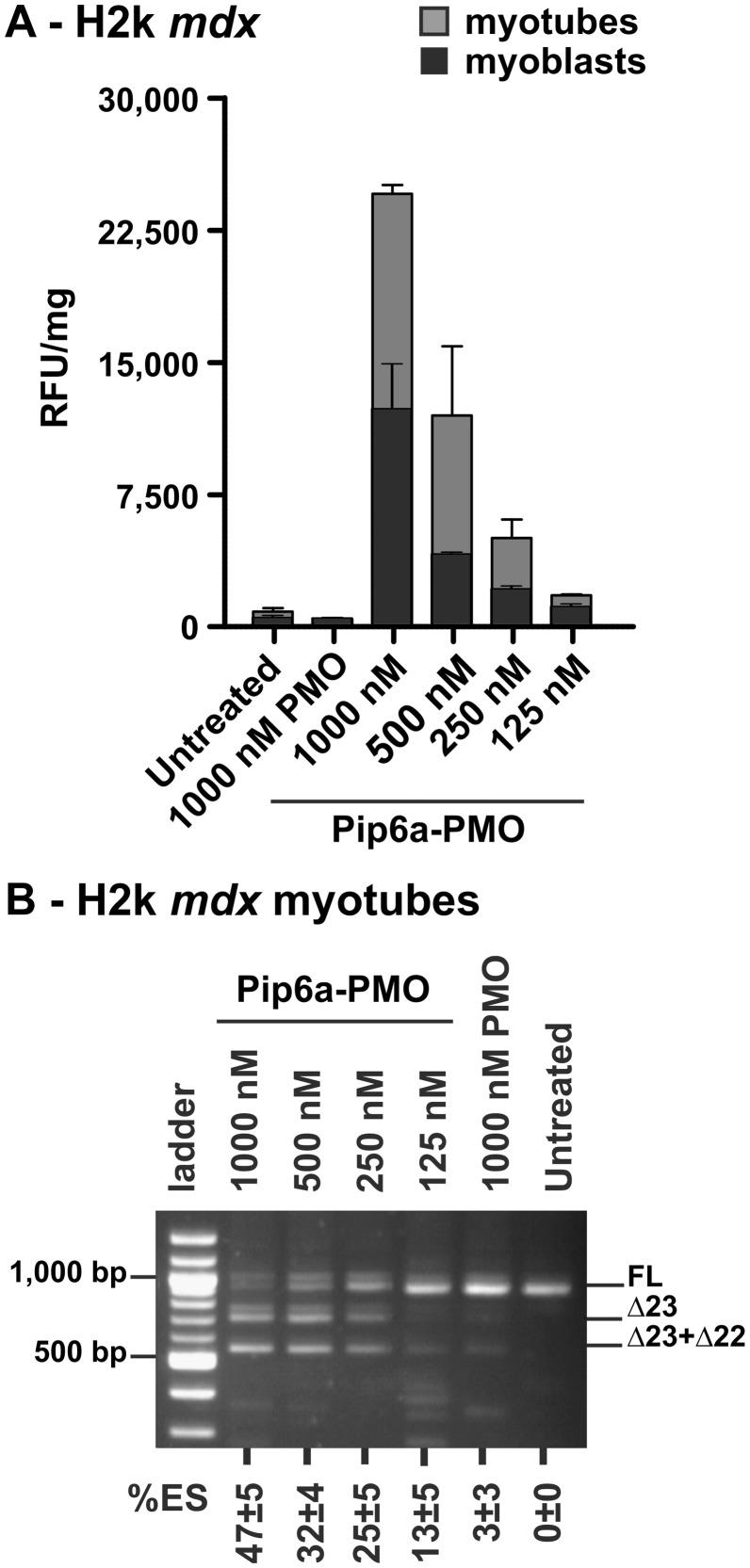 https://cdn.ncbi.nlm.nih.gov/pmc/blobs/7576/3950666/ddefc033d68d/gkt1220f2p.jpg