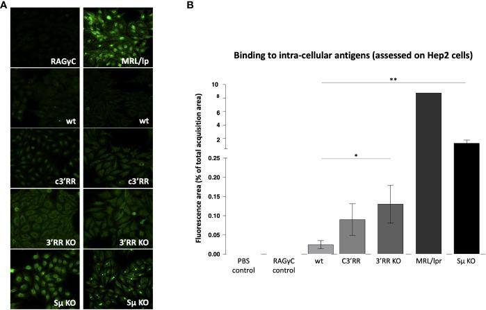 https://cdn.ncbi.nlm.nih.gov/pmc/blobs/7577/10288998/6714c0ef1c77/fimmu-14-1155906-g003.jpg