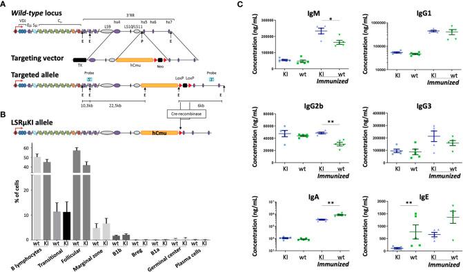 https://cdn.ncbi.nlm.nih.gov/pmc/blobs/7577/10288998/74a12ab1f49b/fimmu-14-1155906-g001.jpg