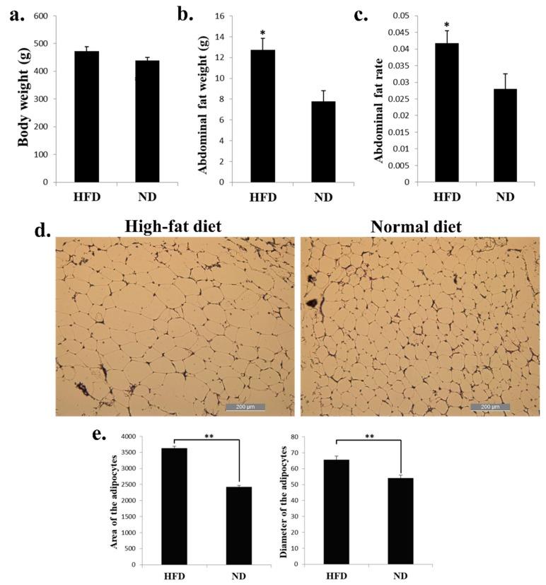 https://cdn.ncbi.nlm.nih.gov/pmc/blobs/7577/6627201/78ec911cf194/ijms-20-02923-g001.jpg