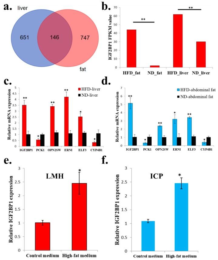 https://cdn.ncbi.nlm.nih.gov/pmc/blobs/7577/6627201/df4a0d15e761/ijms-20-02923-g003.jpg
