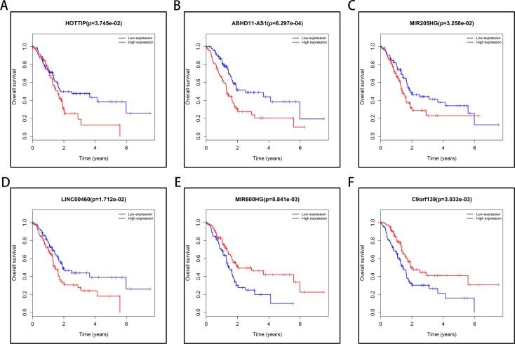 https://cdn.ncbi.nlm.nih.gov/pmc/blobs/7579/5966255/7869ac02bf55/oncotarget-09-24248-g005.jpg