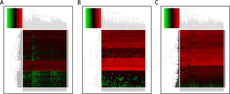 https://cdn.ncbi.nlm.nih.gov/pmc/blobs/7579/5966255/99de3246cee7/oncotarget-09-24248-g002.jpg
