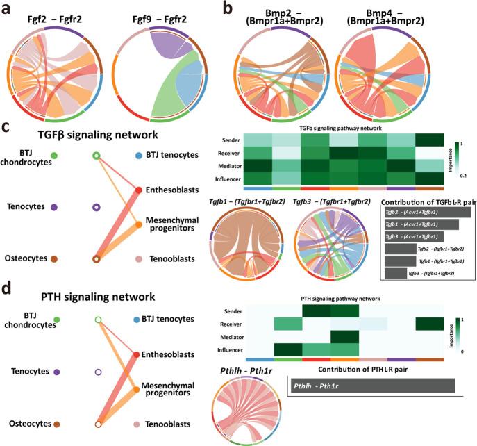 https://cdn.ncbi.nlm.nih.gov/pmc/blobs/757a/10513478/12b2f12c148b/elife-85873-fig6-figsupp1.jpg
