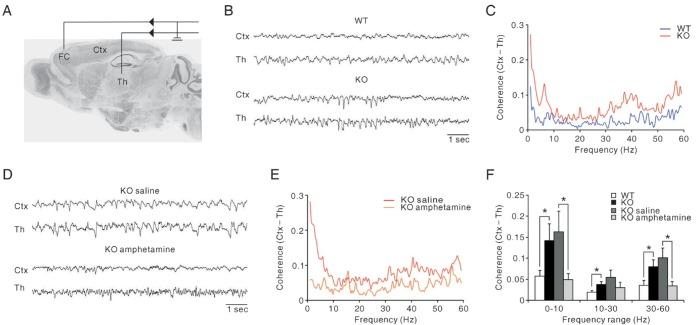 https://cdn.ncbi.nlm.nih.gov/pmc/blobs/757b/4479808/389397c100b6/en-24-126-g002.jpg