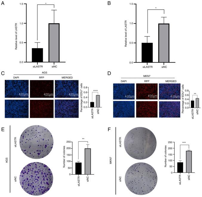 https://cdn.ncbi.nlm.nih.gov/pmc/blobs/757b/8855154/786fb96a071a/mmr-25-04-12634-g07.jpg