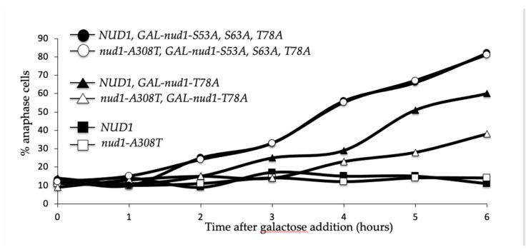 https://cdn.ncbi.nlm.nih.gov/pmc/blobs/757c/8750578/5d4f5815dbe0/cells-11-00046-g010.jpg