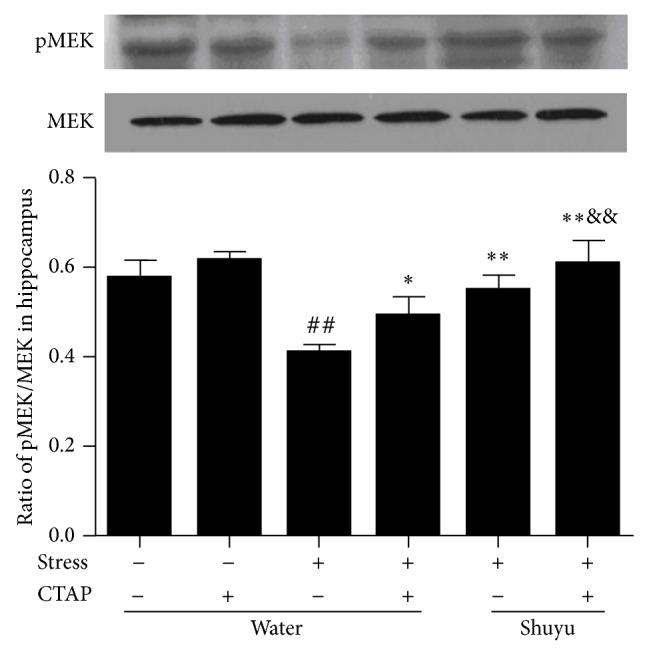 https://cdn.ncbi.nlm.nih.gov/pmc/blobs/757f/4363683/350dccc99dfd/ECAM2015-452412.006.jpg