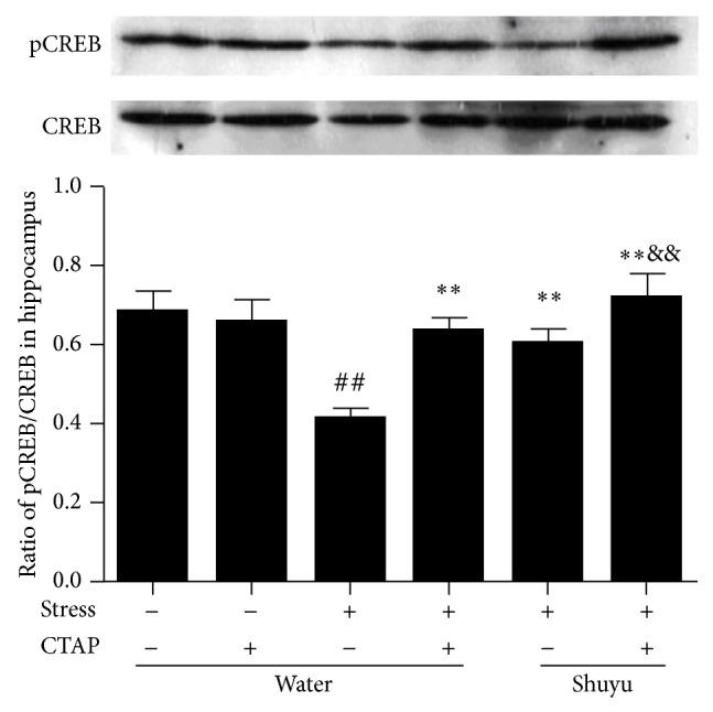 https://cdn.ncbi.nlm.nih.gov/pmc/blobs/757f/4363683/5f6794caa941/ECAM2015-452412.005.jpg
