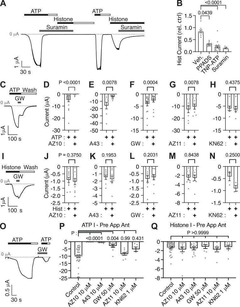 https://cdn.ncbi.nlm.nih.gov/pmc/blobs/7581/10200710/fd5531ed1dbd/JGP_202213317_Fig2.jpg