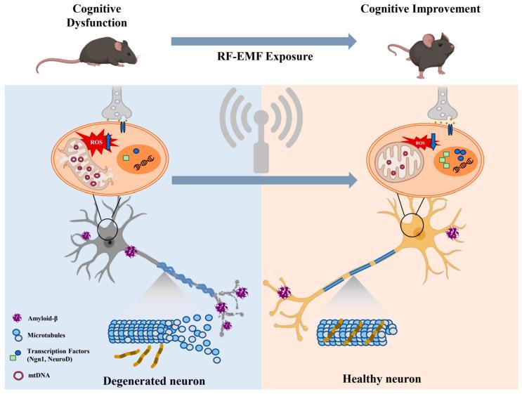 https://cdn.ncbi.nlm.nih.gov/pmc/blobs/7583/11900402/98348162102c/ijms-26-02268-g001.jpg
