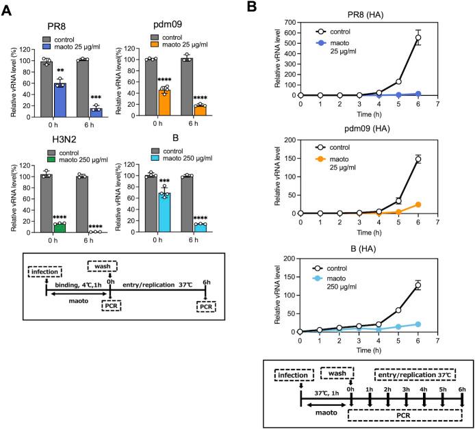 https://cdn.ncbi.nlm.nih.gov/pmc/blobs/7584/12131806/3950e4d1ac37/spectrum.00371-25.f003.jpg