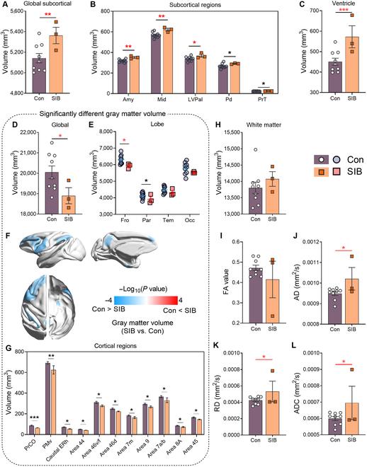https://cdn.ncbi.nlm.nih.gov/pmc/blobs/758b/12311303/362ab974fb4a/research.0782.fig.005.jpg
