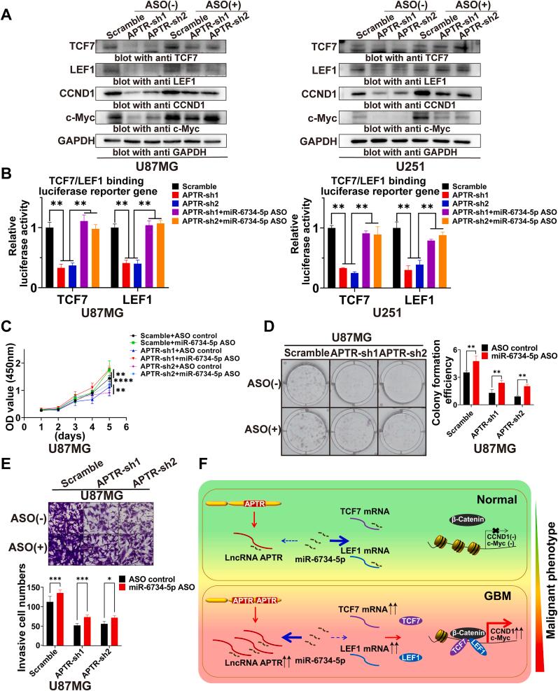 https://cdn.ncbi.nlm.nih.gov/pmc/blobs/758c/11914771/49279da7847f/gr8.jpg