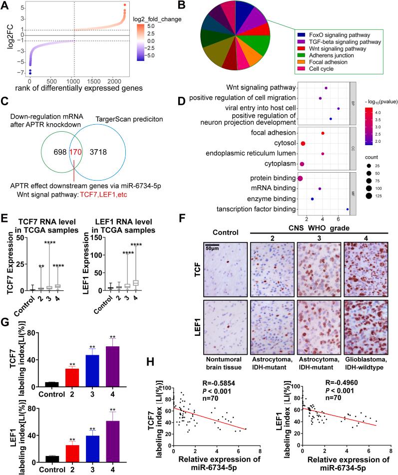 https://cdn.ncbi.nlm.nih.gov/pmc/blobs/758c/11914771/7dfd09d492ab/gr6.jpg